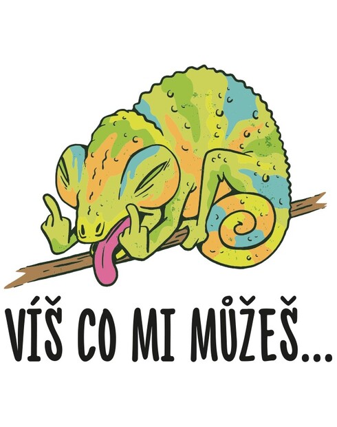 Vtipný plecháček Víš co mi můžeš...