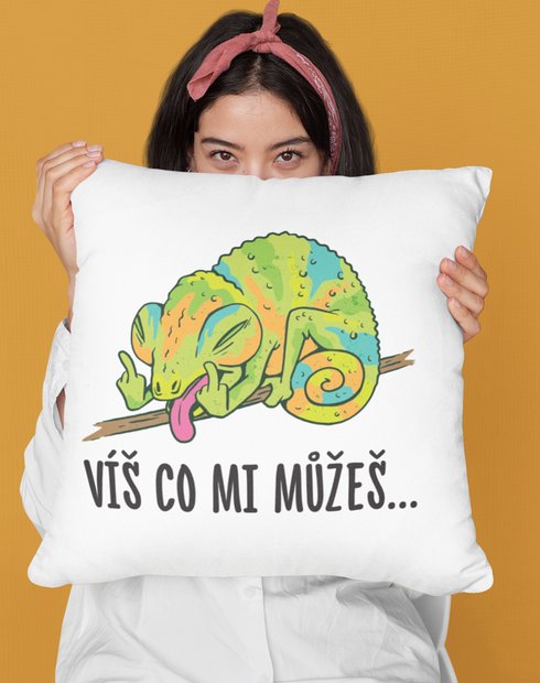 Vtipný polštářek Víš co mi můžeš...