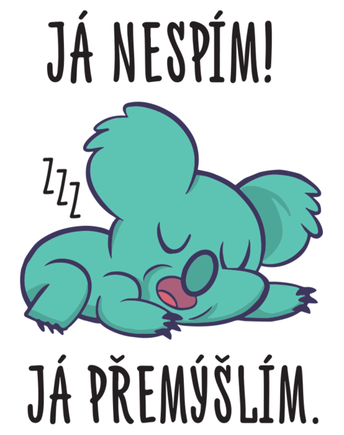 Vtipný plecháček Já nespím já přemýšlím