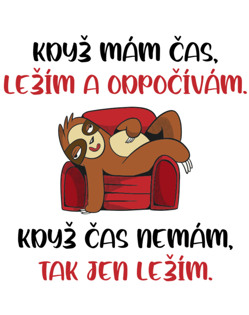 Plecháček Když mám čas...