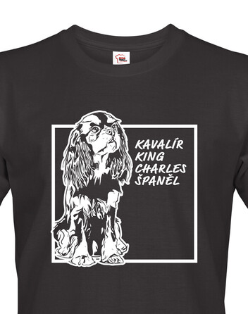 Pánské tričko Kavalír King Charles španěl 2