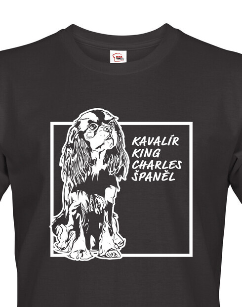 Pánské tričko Kavalír King Charles španěl 2