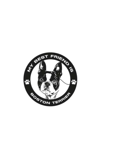 Plecháček Bostonský teriér