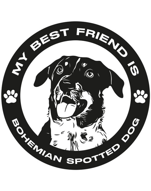 Hrnek Český strakatý pes