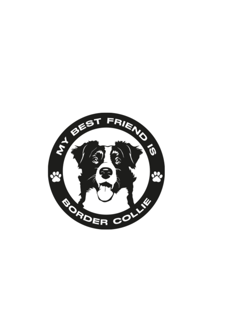 Plecháček Border kolie