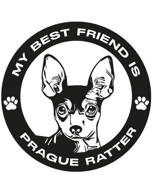 Hrnek Pražský krysařík