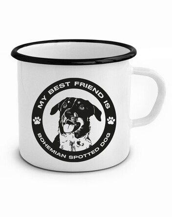 Plecháček Český strakatý pes