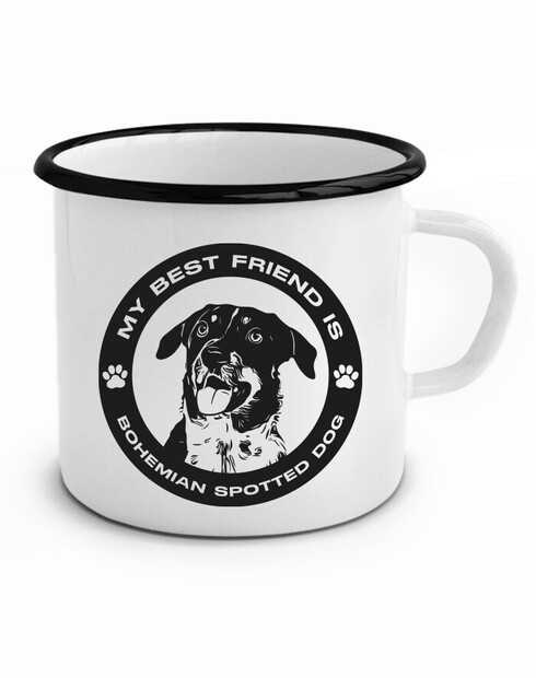 Plecháček Český strakatý pes