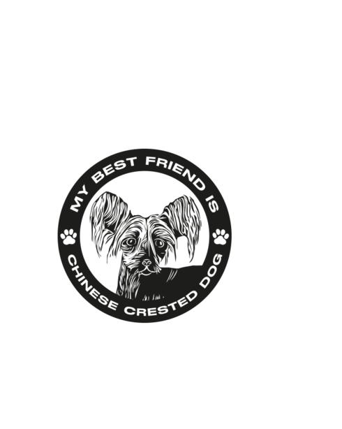 Plecháček Čínský chocholatý pes