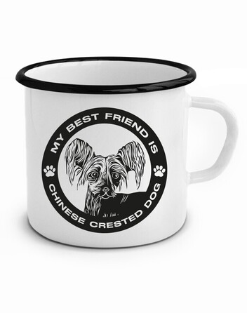 Plecháček Čínský chocholatý pes