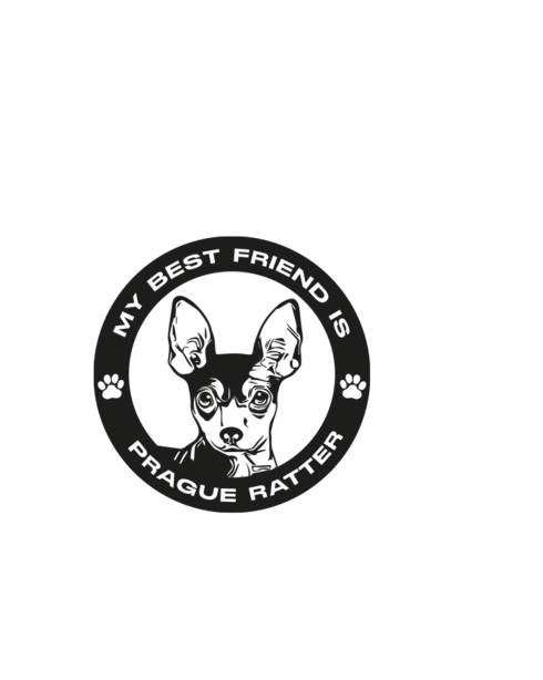 Plecháček Pražský krysařík