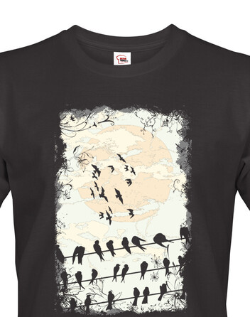 Pánské tričko Obloha a vlaštovky