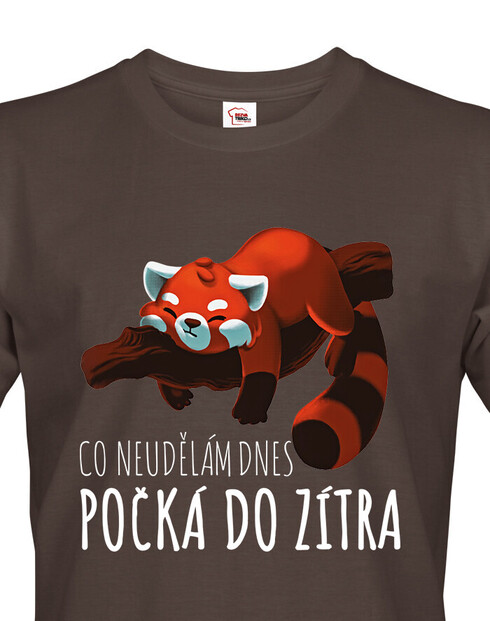 Pánské tričko Co neudělám dnes