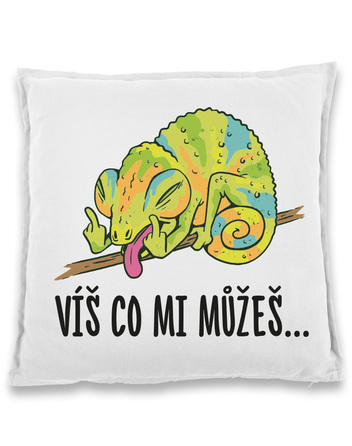 Vtipný polštářek Víš co mi můžeš...