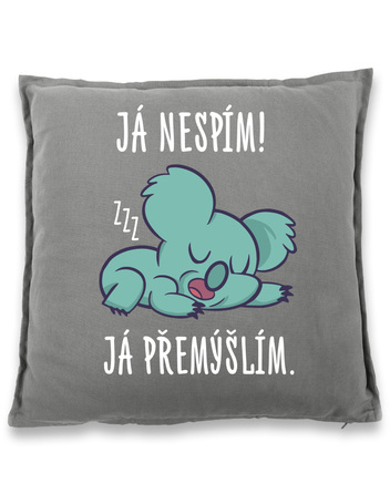 Vtipný polštář Já nespím já přemýšlím
