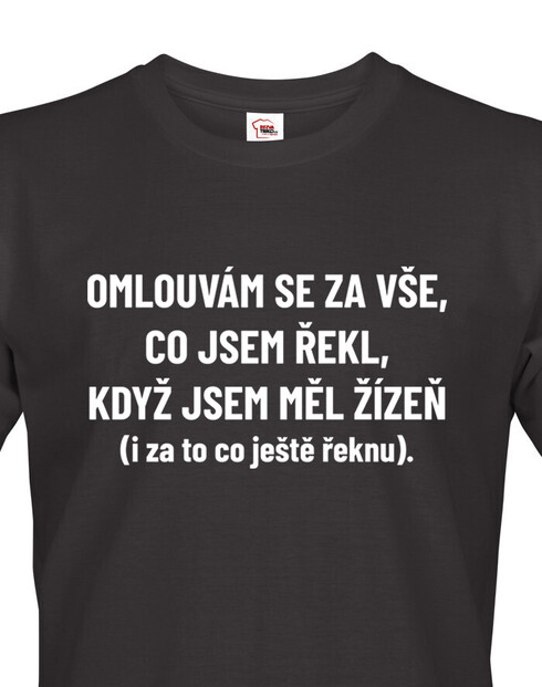 Pánské tričko Omlouvám se za vše...