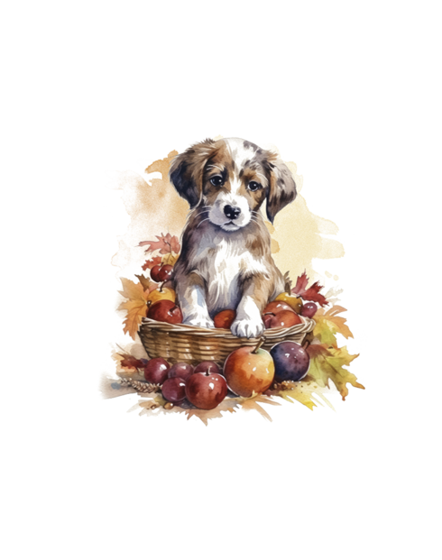 Polštářek Pejsek v košíku