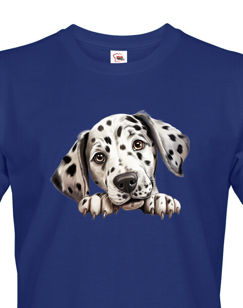 Pánské tričko Dalmatin
