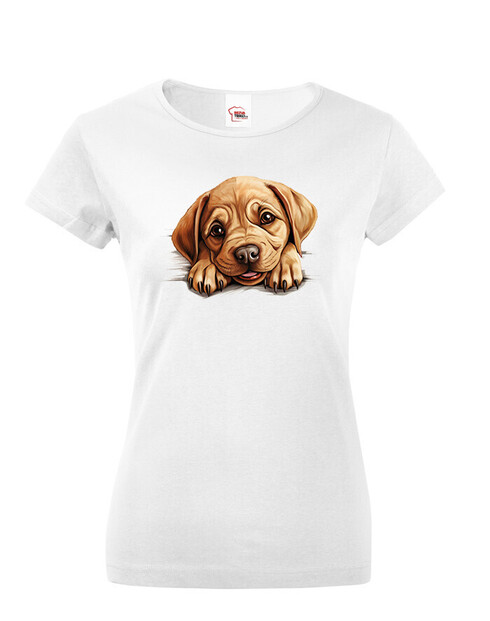 Dámské tričko Labrador