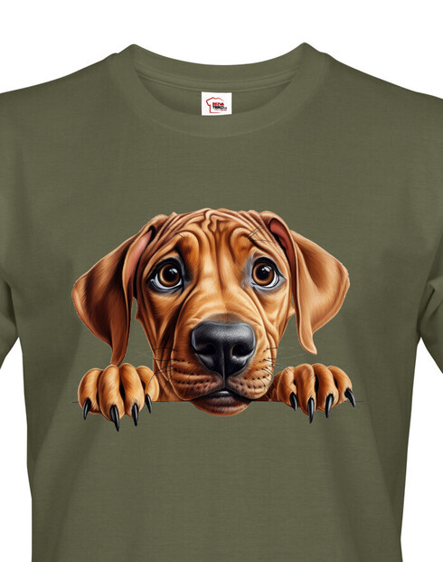 Pánské tričko Rhodéský ridgeback