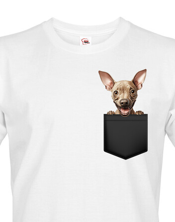 Pánské tričko Americký bezsrstý teriér v kapsičce