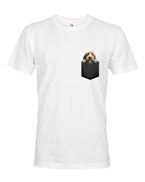 Pánské tričko Italský spinone v kapsičce