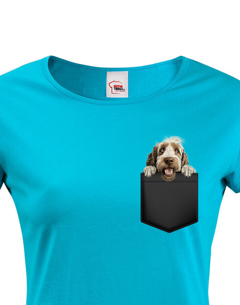 Dámské tričko Italský spinone v kapsičce