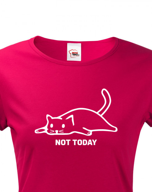 Dámské tričko s kočkou Not today