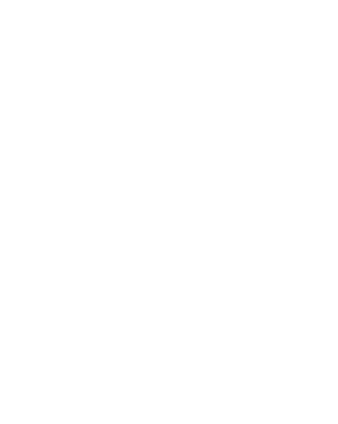 Dětské tričko Čínský drak