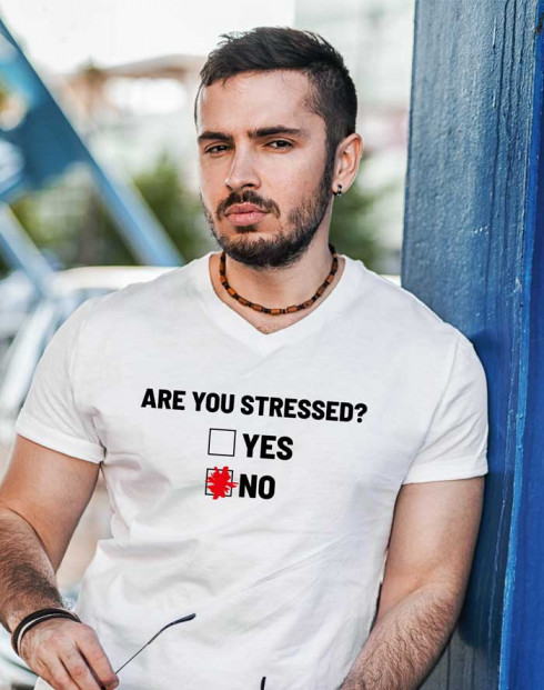 Pánské tričko Are you stressed?