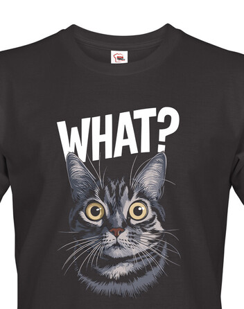 Pánské tričko What suprised cat