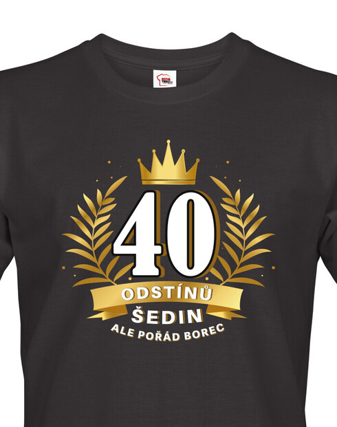 Pánské tričko k 40. narozeninám 40 odstínů šedin