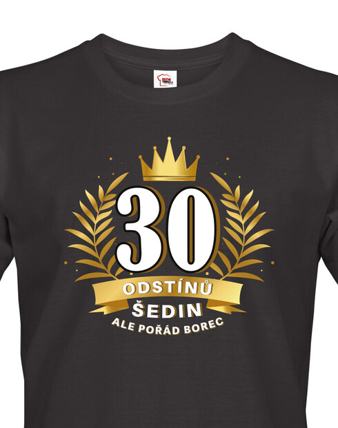 Pánské tričko k 30. narozeninám 30 odstínů šedin