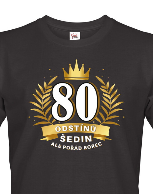 Pánské tričko k 80. narozeninám 80 odstínů šedin