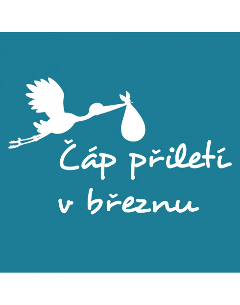 Těhotenské tričko s potiskem Čáp přiletí...