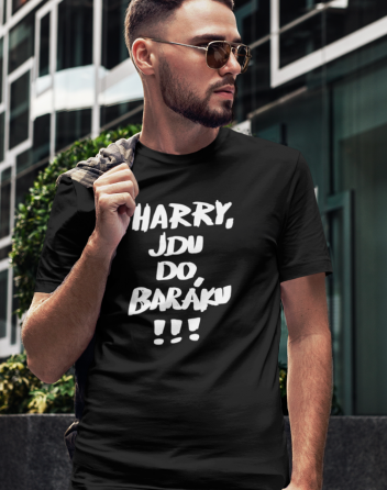 Pánské tričko Harry, jdu do baráku!!!