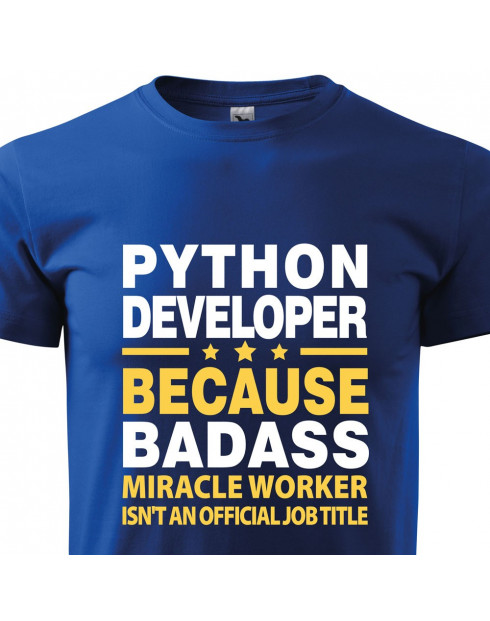 Pánské tričko pro programátory Python developer