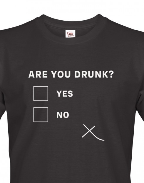 Pánske tričko Are you drunk?